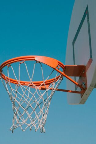 +Bàsquet. T(1). +Bàsquet (1): Els àngels invisibles d'un àrbitre debutant