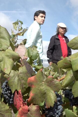 Wineman. Wineman: Utiel-Requena. En búsqueda del origen del vino español