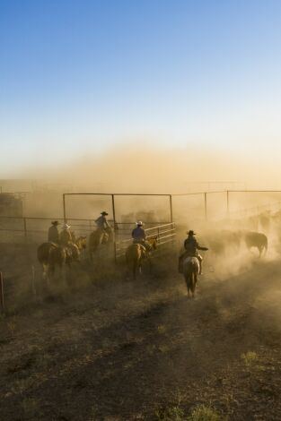 Descubriendo Texas: el estado de la estrella solitaria. Descubriendo Texas: el...: Rodeo y río Grande