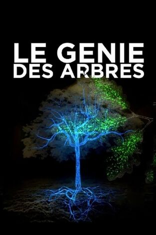 Arbres genials