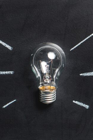 Animals arquitectes. T(T2). Animals arquitectes (T2): Bosch Capdeferro