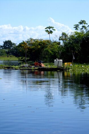 Els rius i la vida. Els rius i la vida: L'Amazones