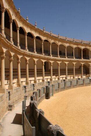 Novillada. T(T2025). Novillada (T2025): Desde Tarifa (Cádiz)