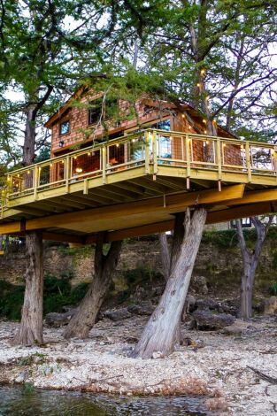 Mi casa en un árbol. Mi casa en un árbol: Cabaña de lujo al estilo de Thomas Jefferson