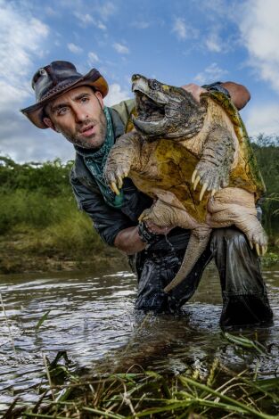 Coyote Peterson en lo salvaje. Coyote Peterson en lo...: El reino del caimán