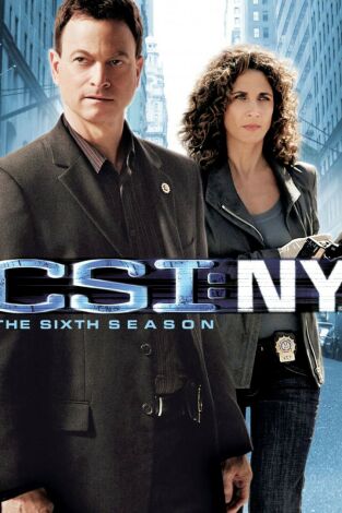 C.S.I. Nueva York. T(T6). C.S.I. Nueva York (T6): Ep.1 Epílogo