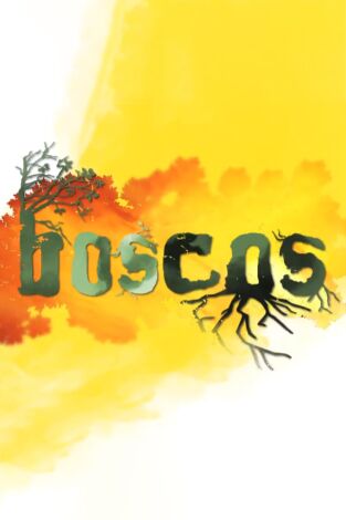 Boscos. Boscos: Boscos de Faig (Montseny)