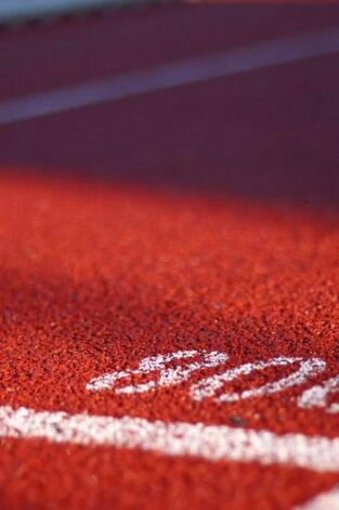 Behobia - San Sebastián