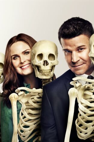 Bones. T(T10). Bones (T10): Ep.16 La gran bronca en la cafetería