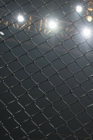 UFC 1: The Beginning