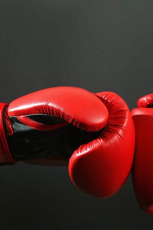 Boxeo: combate Mike Tyson vs Steve Zouski