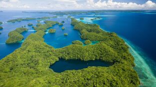 Arqueología en la jungla. Arqueología en la...: Secretos de piedra de la isla de la muerte