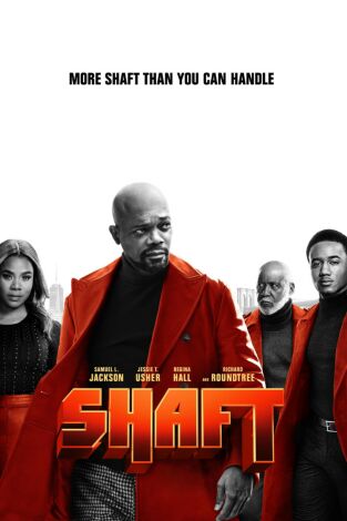 Shaft