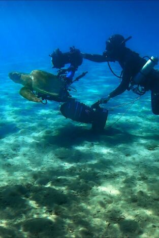 Mediterráneo: un mar en peligro. Mediterráneo: un mar...: Envejecer y renacer