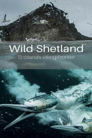 Las islas Shetland: La frontera vikinga de Escocia