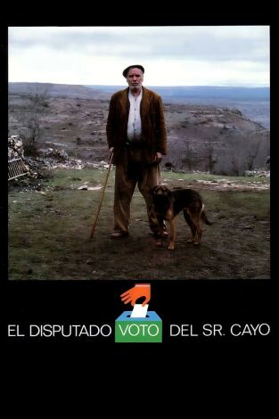El disputado voto del Sr. Cayo