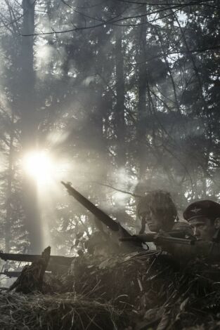 Del D-Day a Berlín: la última batalla de Hitler. Del D-Day a Berlín: la...: Los nazis contraatacan