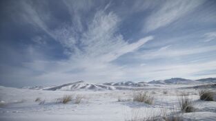 Wild Mongolia: tierra de extremos. Wild Mongolia: tierra...: Supervivientes del desierto