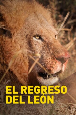 El regreso del león