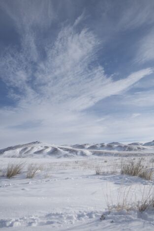 Wild Mongolia: tierra de extremos. Wild Mongolia: tierra...: Supervivientes del desierto