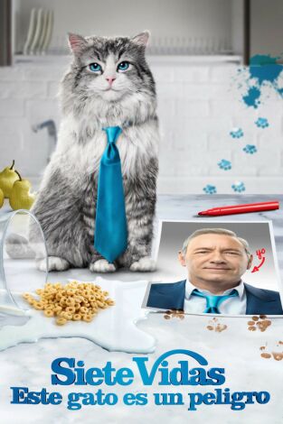 Siete vidas: Este gato es un peligro