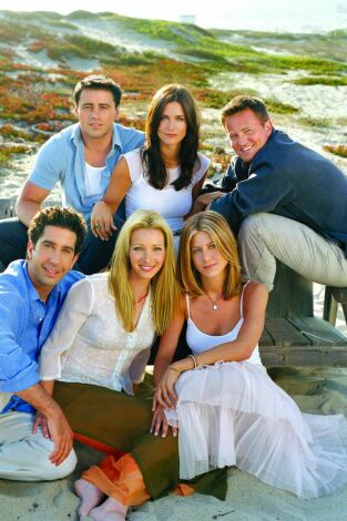 Friends. T(T8). Friends (T8): Ep.20 El del Baby Shower