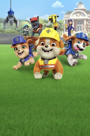 Equipo Rubble (episodios individuales). T(T2). Equipo Rubble... (T2): El equipo construye un escenario en el tejado