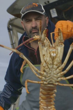 Cazadores de langostas. T(T3). Cazadores de... (T3): Afectados por la pandemia