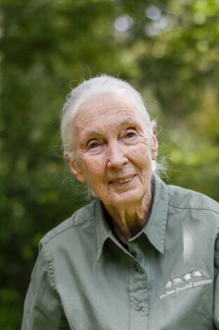 Jane Goodall: la esperanza de los chimpancés. Jane Goodall: la...: Ep.4