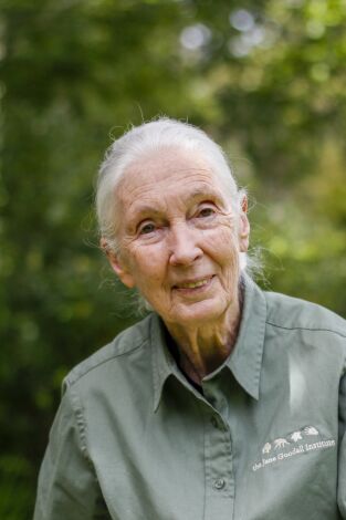 Jane Goodall: la esperanza de los chimpancés. Jane Goodall: la...: Ep.6
