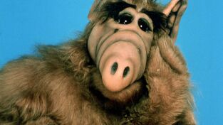 Alf. T(T1). Alf (T1): Ep.24 La cucaracha