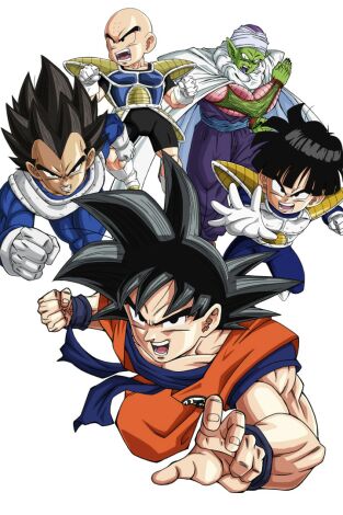 Dragon Ball Z. T(T4). Dragon Ball Z (T4): Ep.2 Yo derrotaré a Freeza... El misterioso joven que espera a Goku