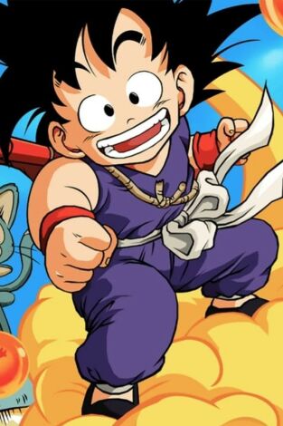 Dragon Ball. T(T4). Dragon Ball (T4): Ep.5 Un escondite casi perfecto