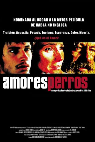 Amores perros