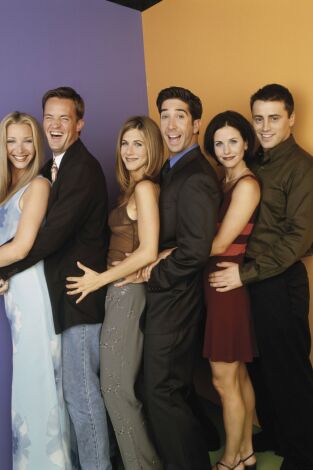 Friends. T(T4). Friends (T4): Ep.3 El de las esposas