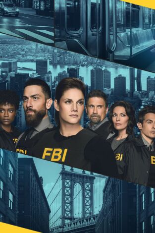 FBI. T(T6). FBI (T6): Ep.9 Los planes mejor trazados