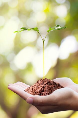 Si les glaciers ne revenaient pas