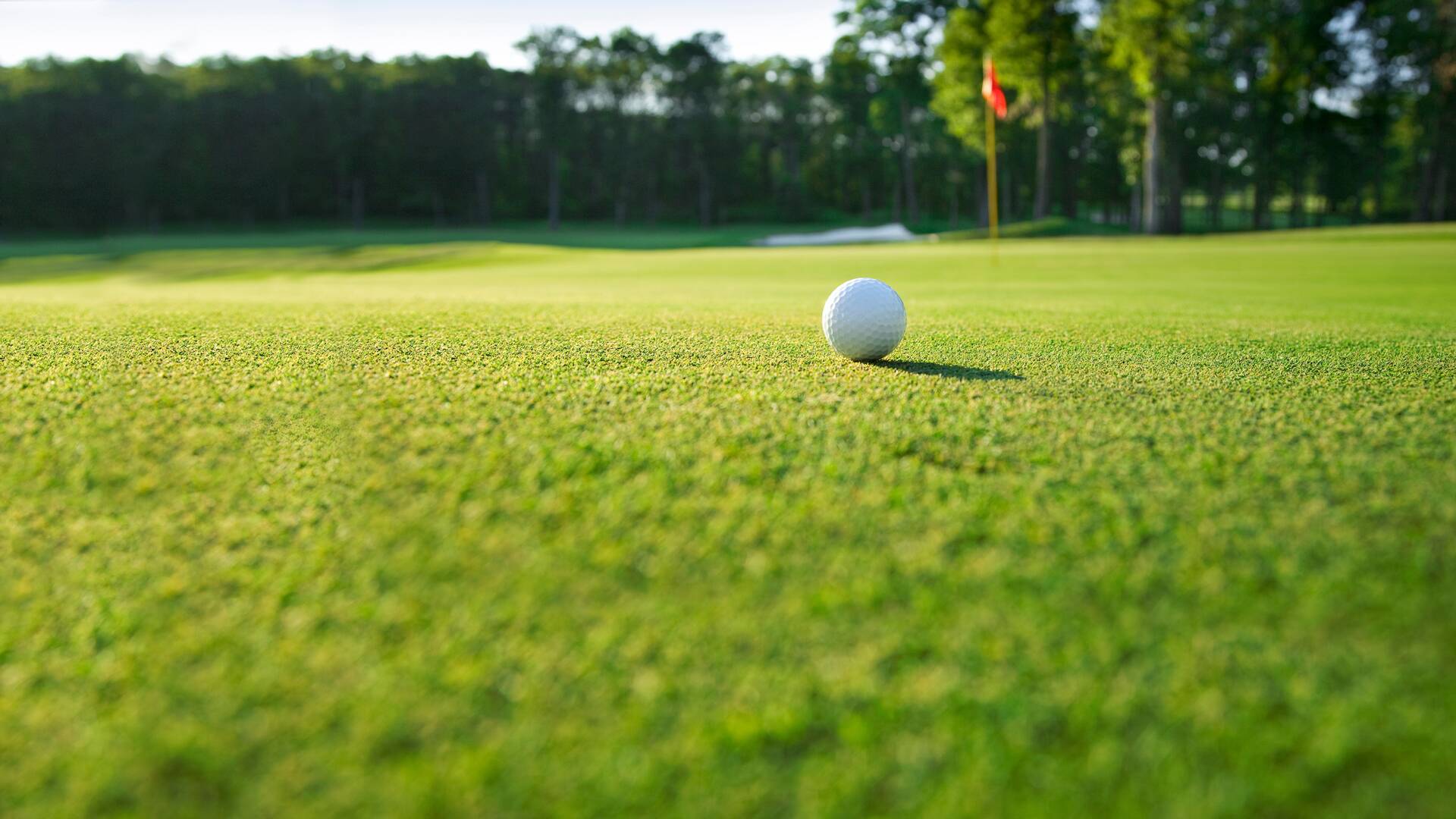 Sueños de Golf (2021): Un español en la bolsa