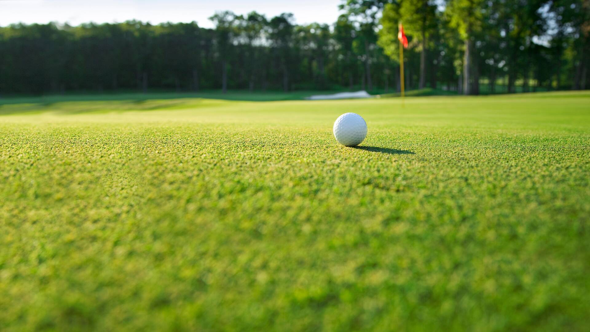 Sueños de Golf (2020): Incombustible Westwood