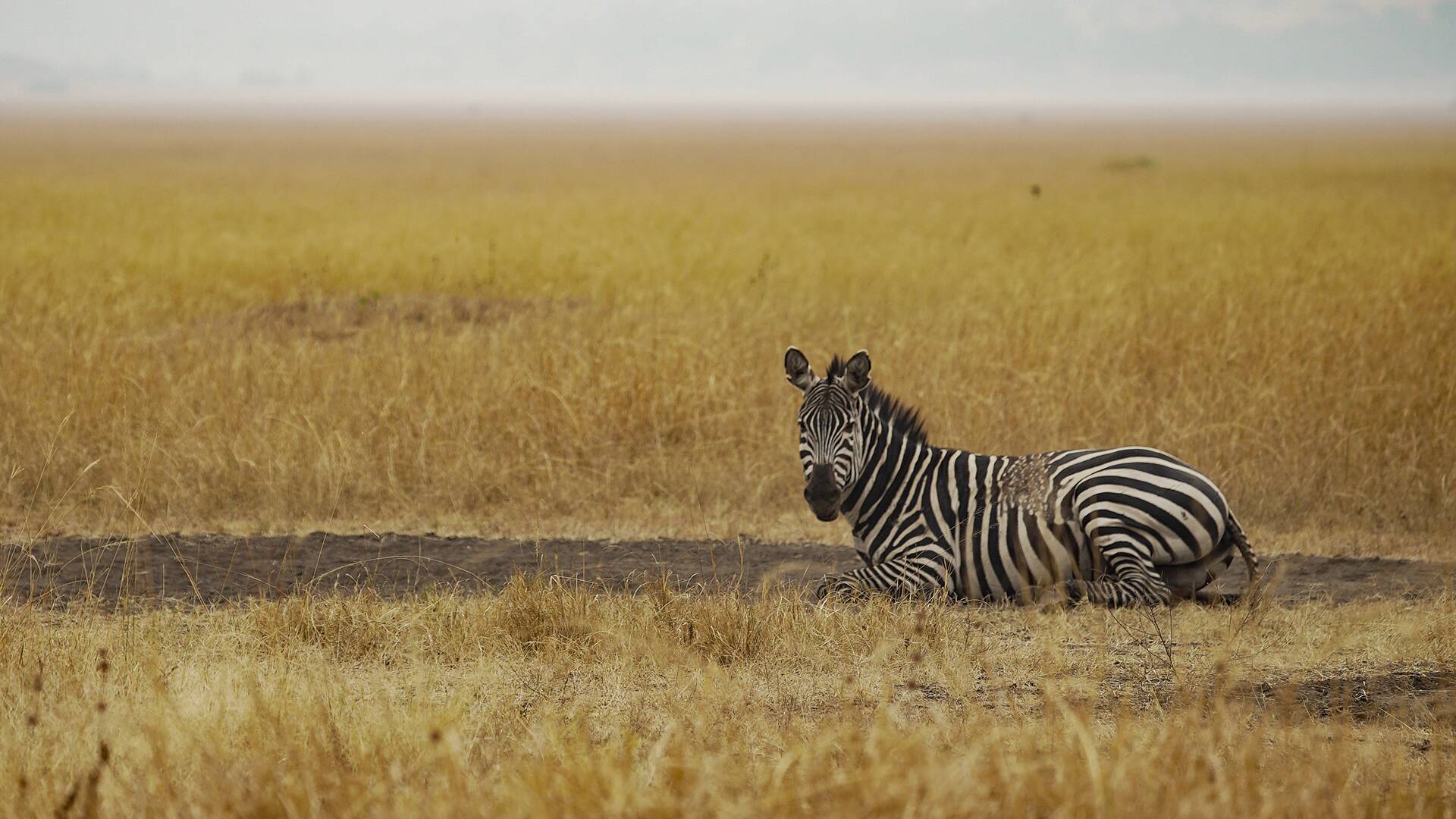 Las maravillas ocultas de África 