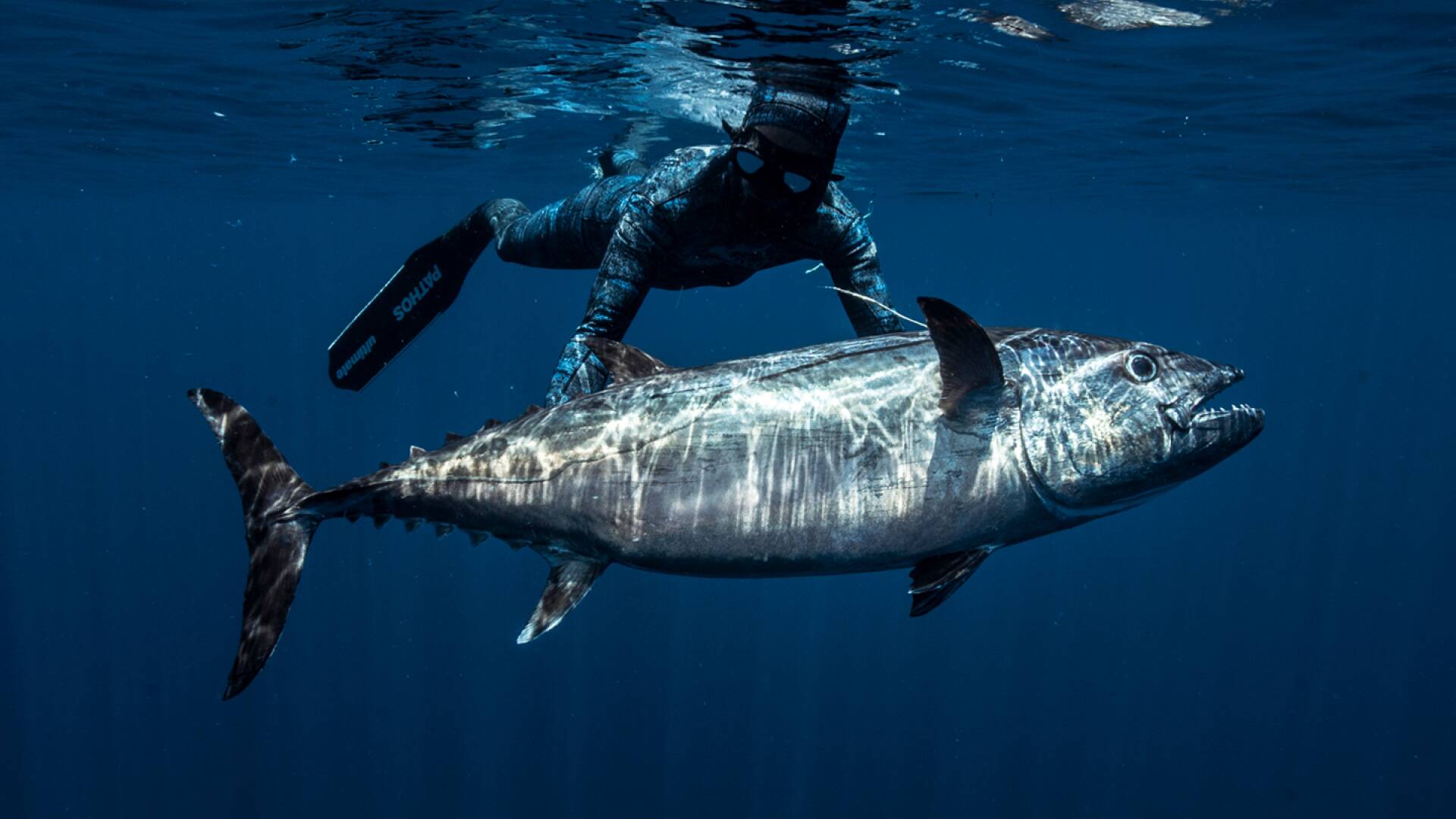 Apnea con David Ochoa