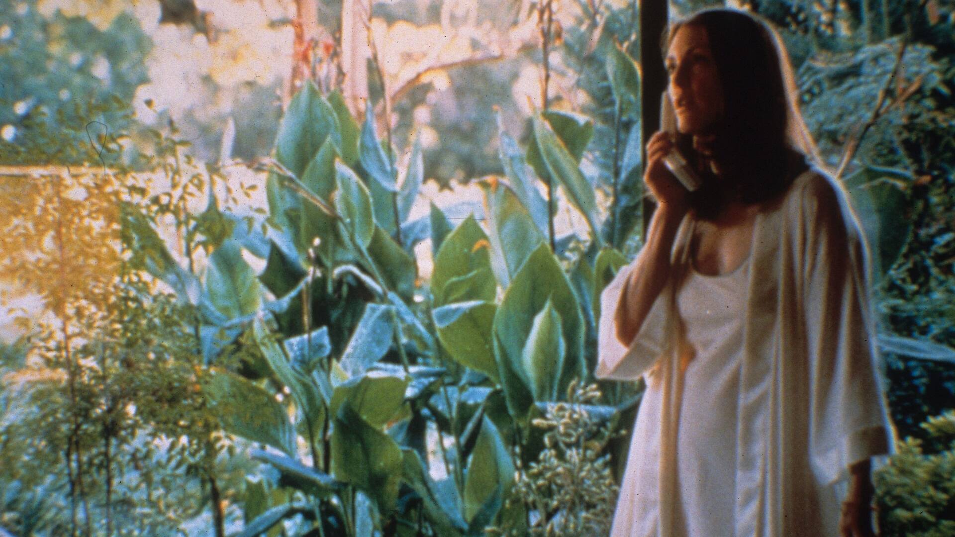 Magnolia