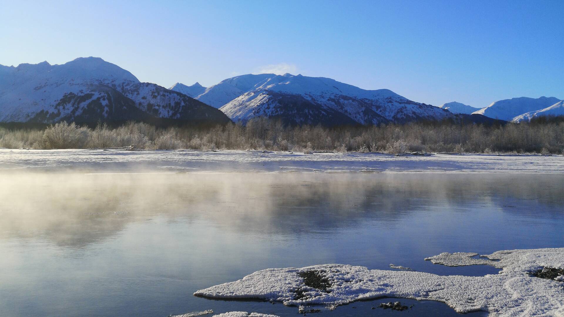 Las maravillas ocultas del invierno