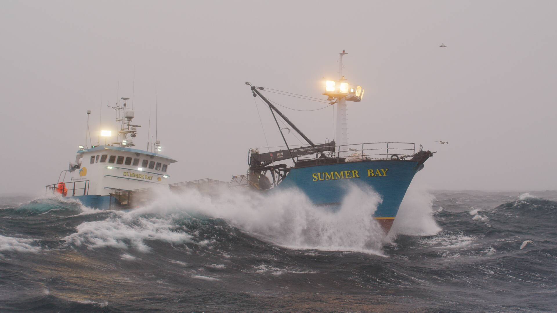 Pesca radical (T15): Los buscadores de bancos de cangrejos
