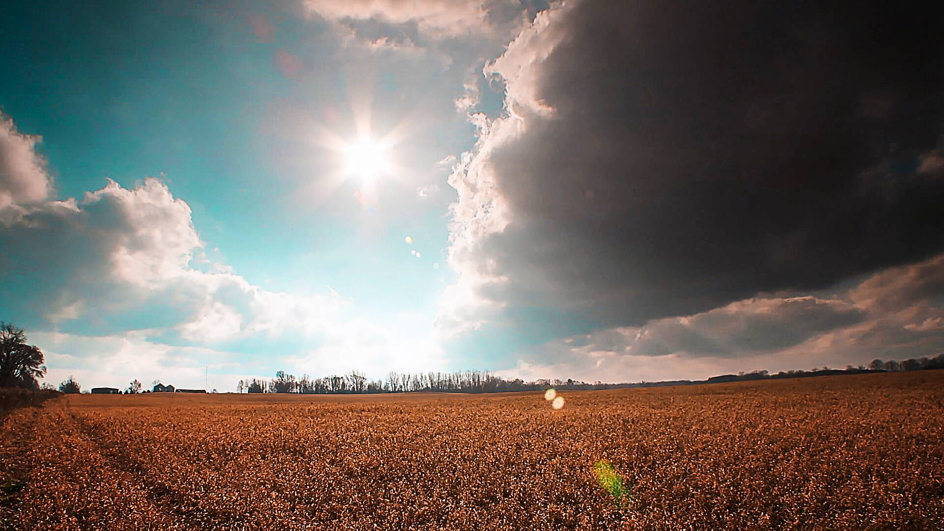 El increíble doctor Pol 