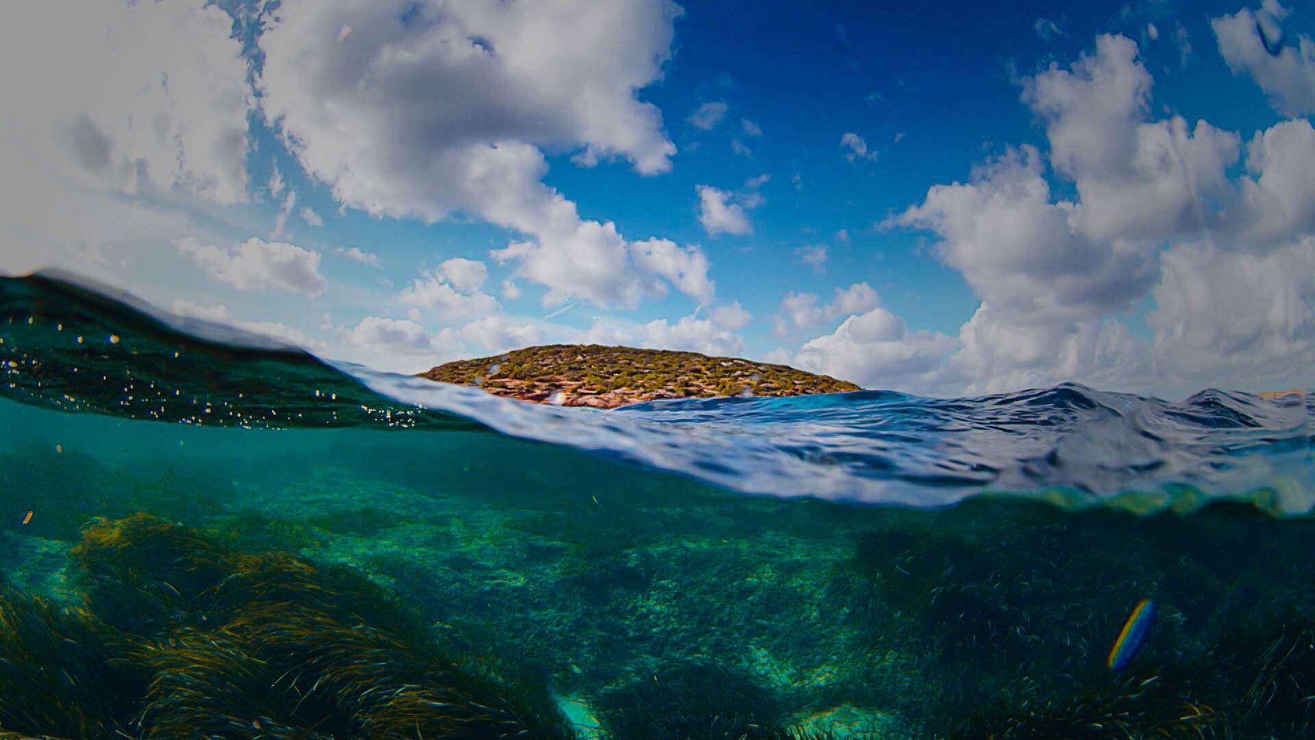 Salvemos nuestro Mediterráneo