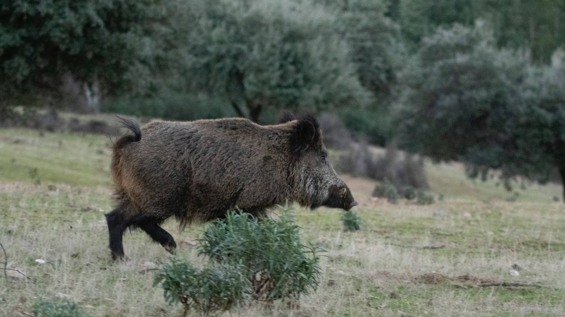 Tradición y nueva gestión en Portugal