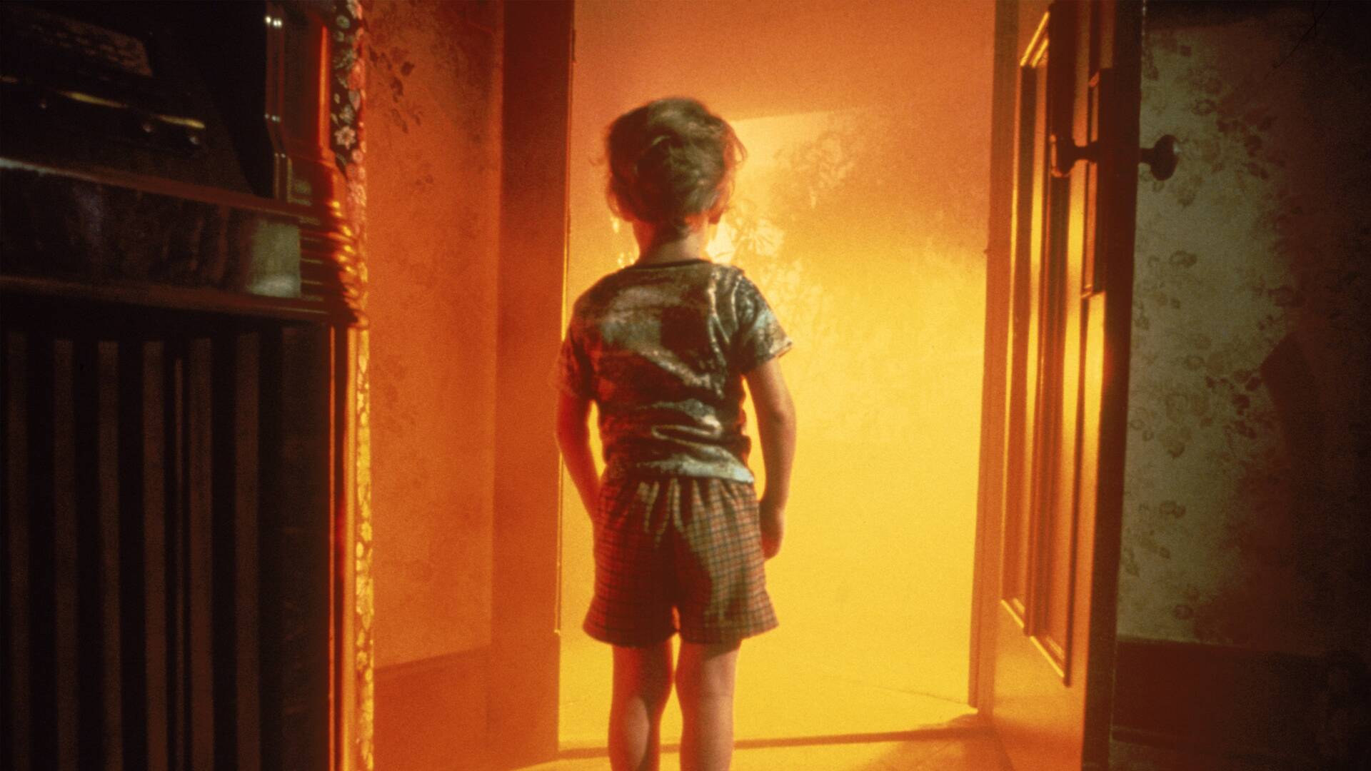 Encuentros en la tercera fase (Montaje del director)