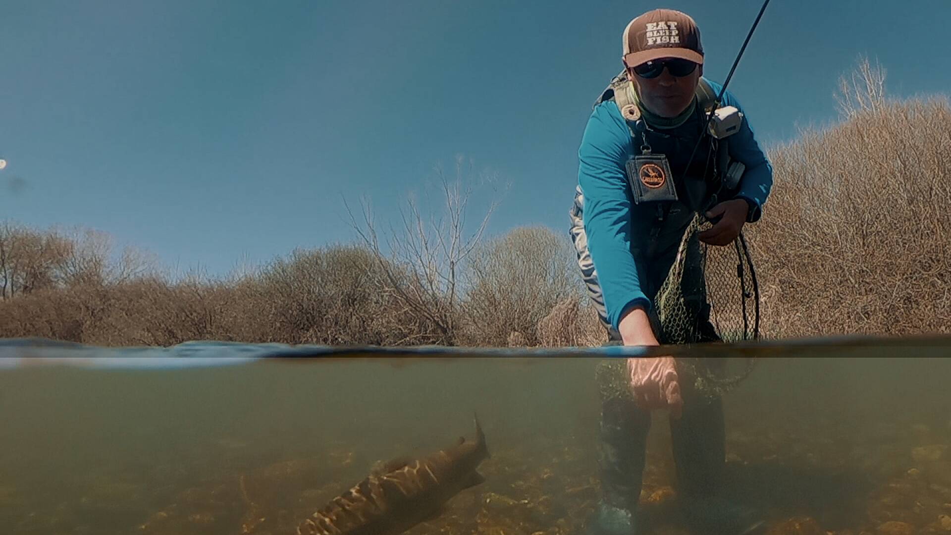 Carrión para empezar