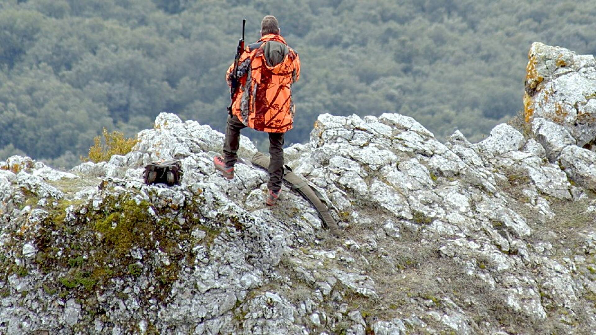 Sierra de Leyre. El reino del jabalí salvaje